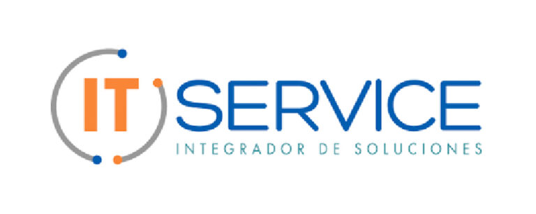IT Service